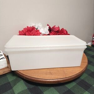 Vintage Tupperware jumbo bread keeper
